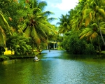 Backwaters of Alappuzha