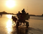 Alibag Night