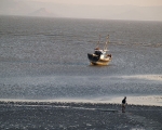 Alibag Fishing