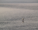 Alibag Ocean