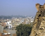 Bathinda City View