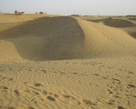 Sand Dunes in Bikaner