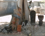 Naga Cult