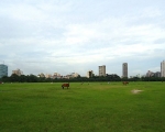 The Kolkata Skyline