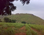 Kurnool View