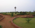 Rock Garden