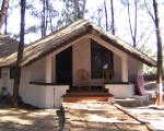 Tarkarli