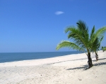 Mararikulam