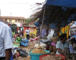 Fish Market