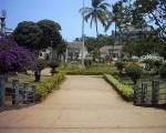 Muncipal Garden