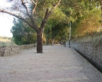 Goda Park
