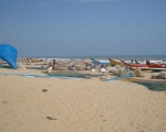 Nellore Beach