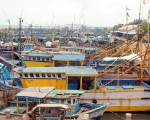 Tuticorin Boats