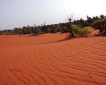 Theri Soil