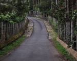 Yercaud