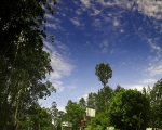 Yercaud Sky