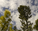 Yercaud Nature