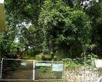Botanical Gardens
