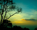 Yercaud Sunset
