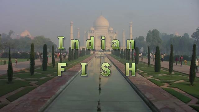 Indian Fish