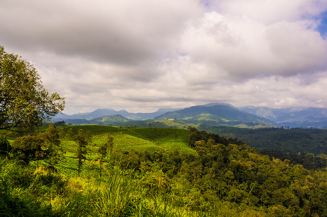 tamil nadu